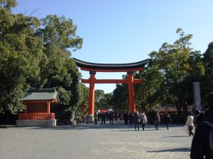 DSCF6273